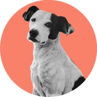 Betty profile copy
